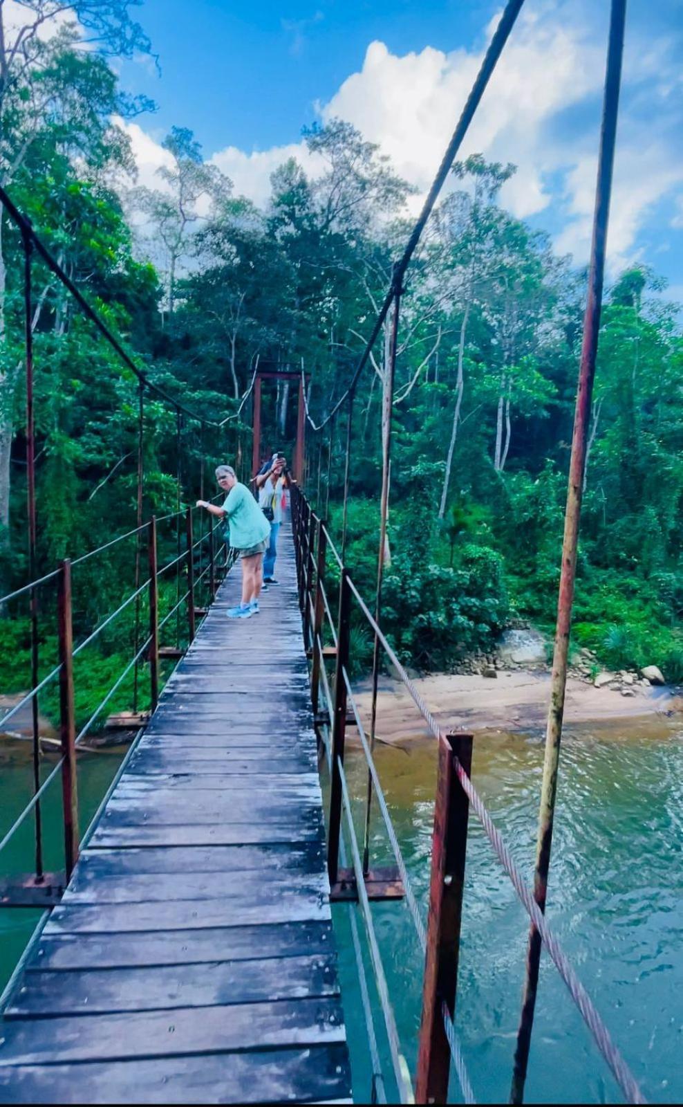 Rain Forest Star Deniyaya Esterno foto